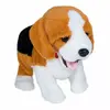 Madej Figo Dog interaktīvs mīkstais Bīgls Photo 10