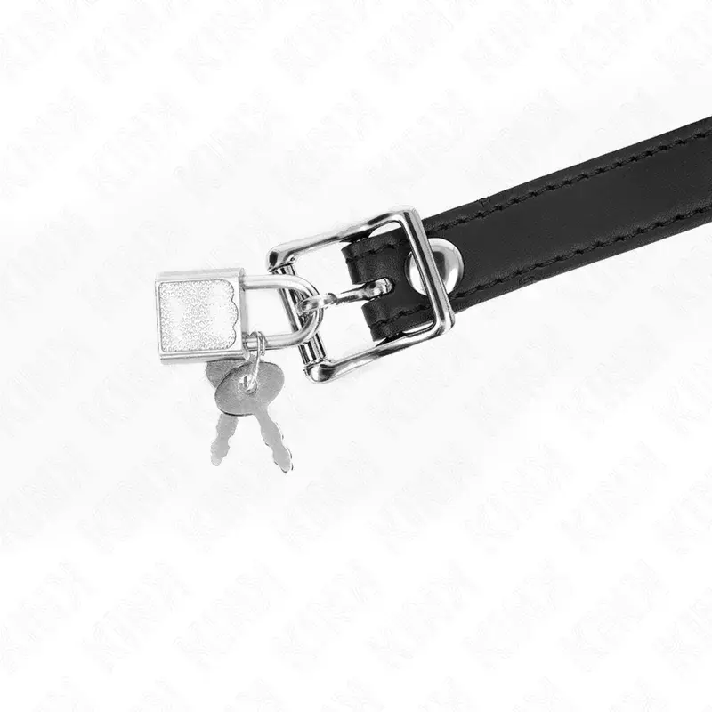 KINK COLLAR & GAG D-240878 силиконовый кляп Photo 4