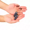 Зажимы для сосков KINK NIPPLE GRIP OWL PENDANT 6 см Photo 3