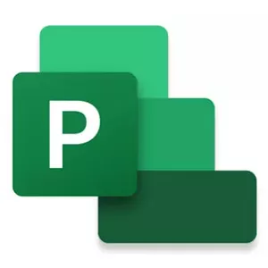 Управление проектами Microsoft Project Professional 2024 Полная 1 лицензия Windows 10 11