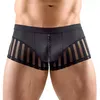 Мужские трусы Svenjoyment 21333931731 XL Photo 2