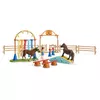Тренировка ловкости пони Schleich 42481 Photo 20