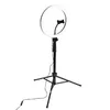 Ring Light D-Fruit 12 inch Model 40520 Photo 2