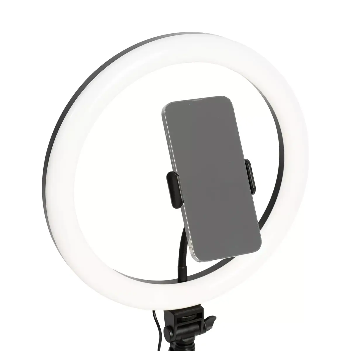 Ring Light D-Fruit 12 inch Model 40520 Photo 3