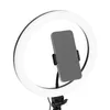 Ring Light D-Fruit 12 inch Model 40520 Photo 3