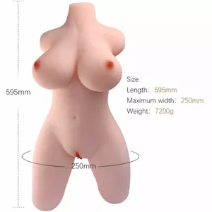 Seksa lelle Armony Reālistisks sieviešu torse modelis 2 D-238258