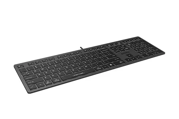 A4Tech Fstyler FX60 Keyboard Photo 2