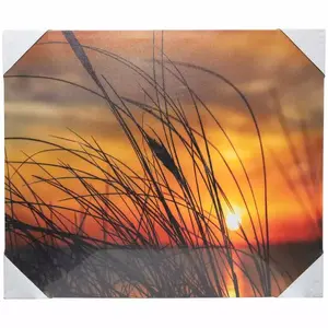 Canvas photo print BESK Smilgas 9134757 50x60 cm
