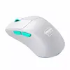 Мышь CHERRY XTRFY M64 Wireless Photo 4