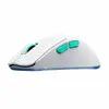 Мышь CHERRY XTRFY M64 Wireless Photo 6