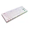 CHERRY MX 8.2 TKL Wireless RGB tastatūra Photo 2