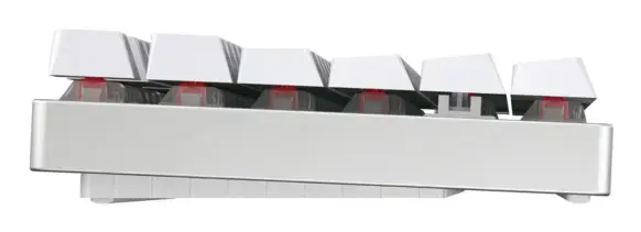 CHERRY MX 8.2 TKL Wireless RGB tastatūra Photo 3