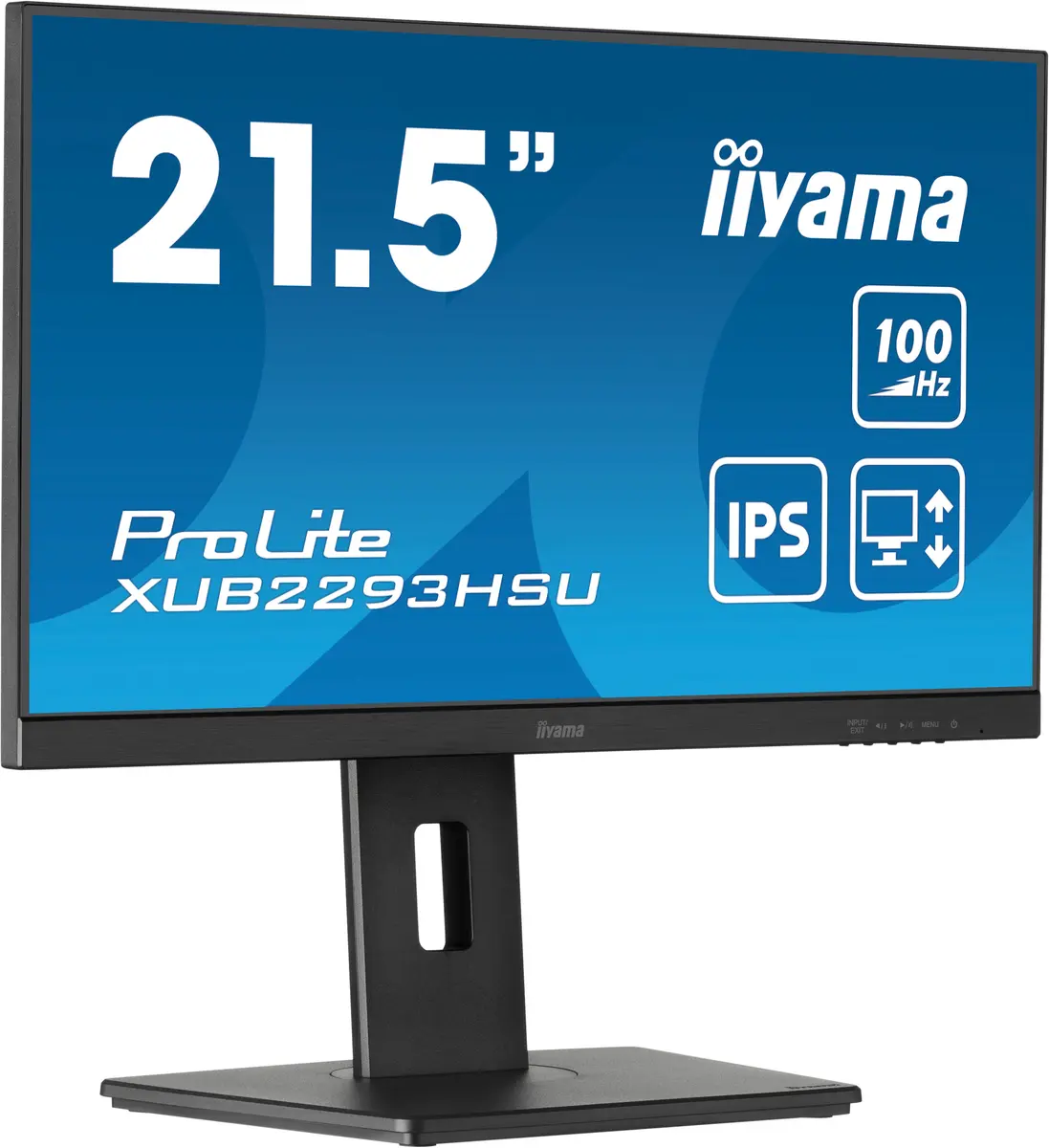 Datora monitors iiyama ProLite XUB2293HSU-B7 Full