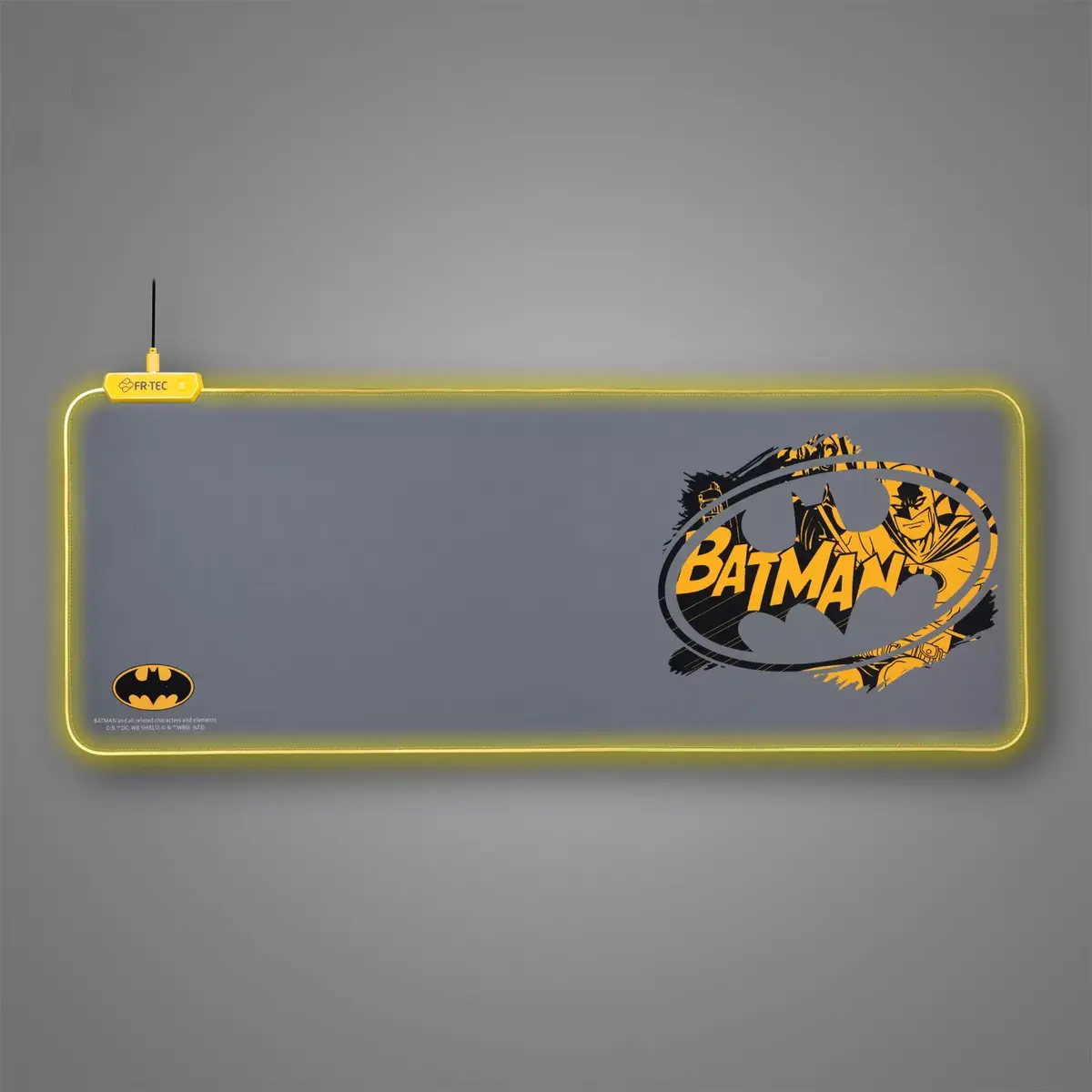 Peles paliktnis FR-TEC PC DC Batman Photo 4