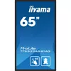 Digitālā reklāmas paneļa iiyama TF6539AS-B1AG Photo 2