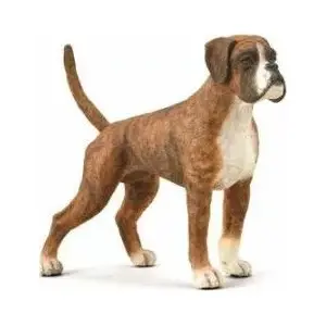 Figurine Collecta boxer dog collectible model by Collecta – realistic dog figure