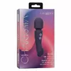 CALEXOTICS Charisma Allure dual-motor vibrator Photo 9