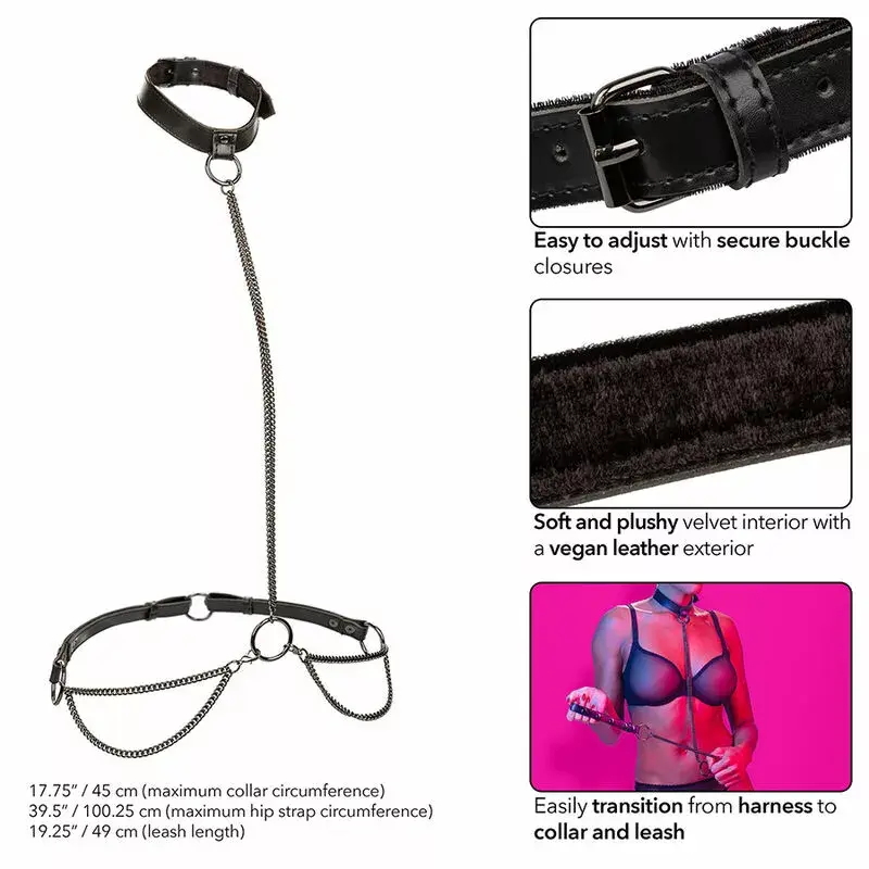 Collar and Leash CALEXOTICS Euphoria Chain Halter D-241470 Photo 3