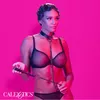 Collar and Leash CALEXOTICS Euphoria Chain Halter D-241470 Photo 4