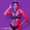 Body harness CALEXOTICS Euphoria Multichain D-241472 Photo 4
