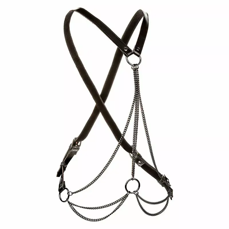 Harness CALEXOTICS Euphoria Multichain Premium Plus Size Photo 2