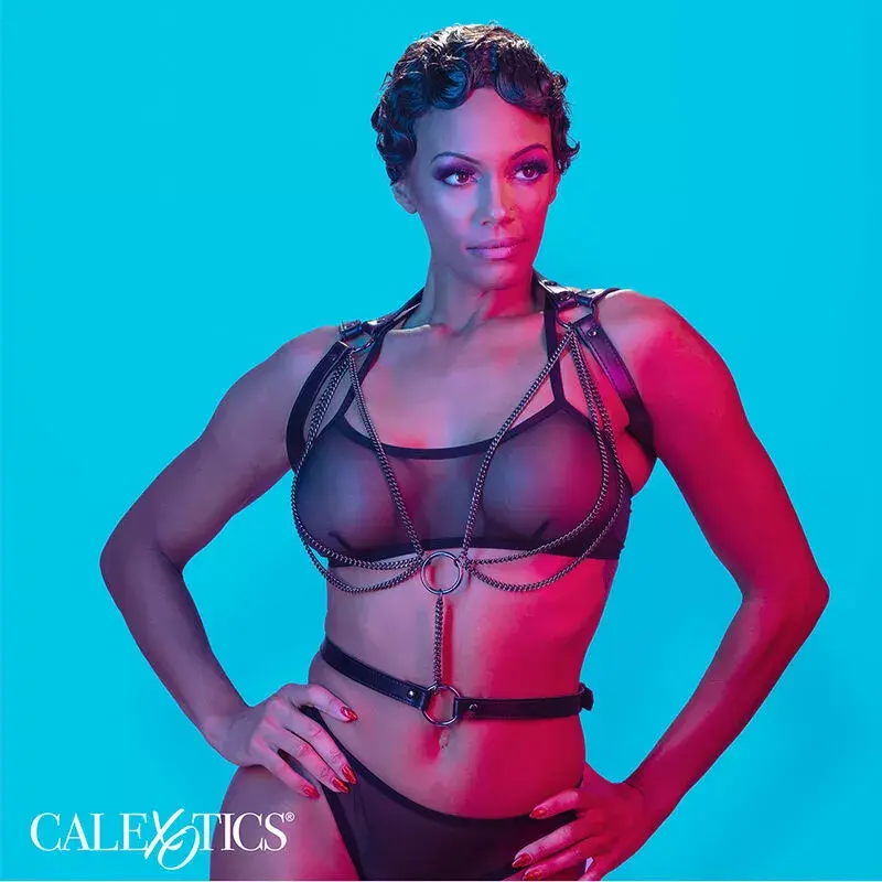 Harness CALEXOTICS Euphoria Multichain D-241474 Photo 4