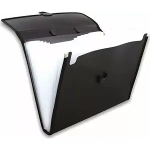 Document organizer Penmate Aktówka 12 compartments PP-4302 black
