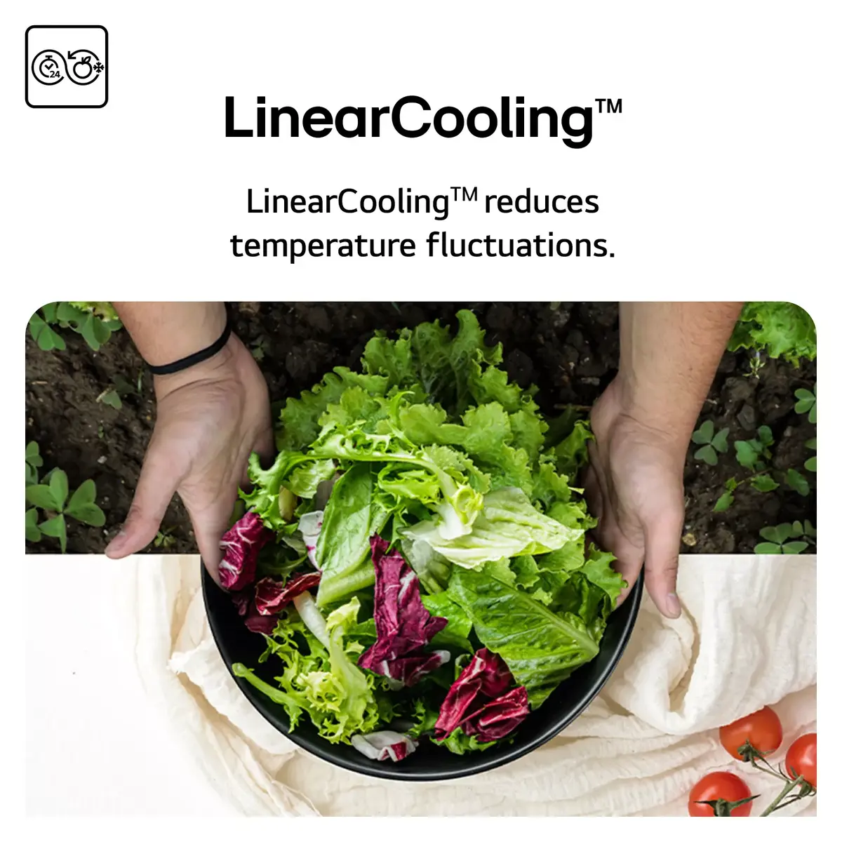 Fridge Freezer LG NatureFRESH GSBC40PYPE Photo 5
