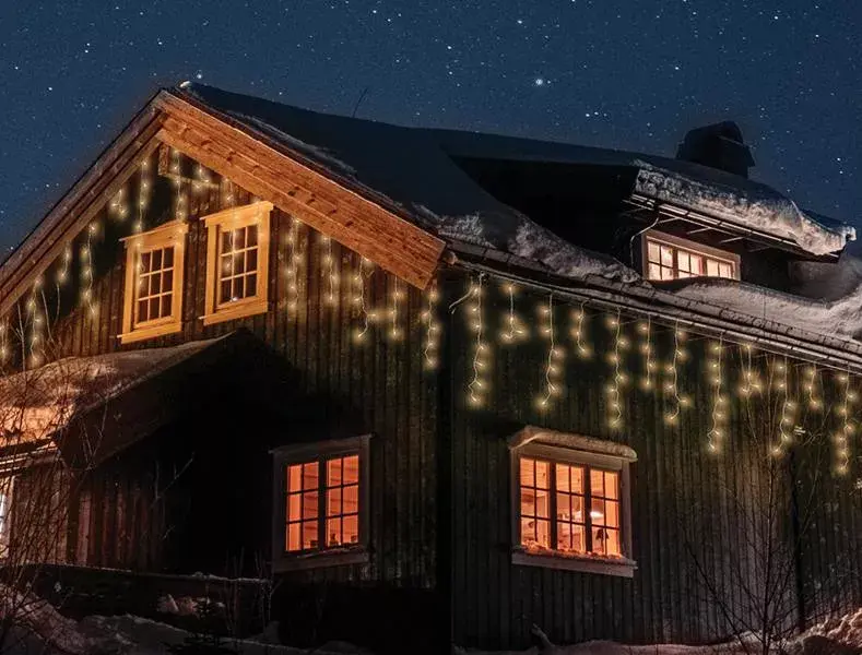 GoodBuy ML50C LED Light Garland 500 LEDs Photo 4