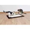 Dog/Cat Doormat Trixie 4323 Photo 5