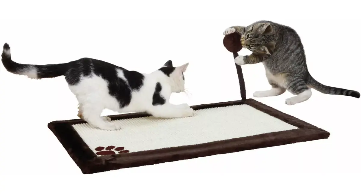 Dog/Cat Doormat Trixie 4323 Photo 6