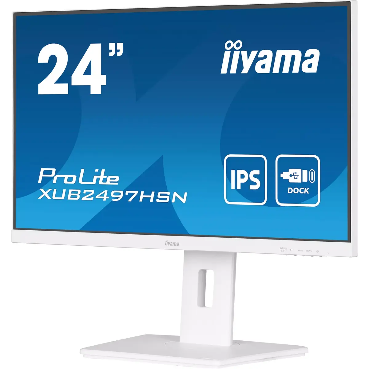Монитор iiyama ProLite XUB2497HSN-W2 Photo 5