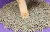 PETKIT Mixed Clumping Cat Litter 7 L Photo 2