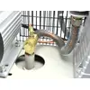 GEKO G80303 eļļas gaisa kompresors 100 l Photo 10