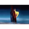 Dior Sauvage Parfum 099600456 Photo 3