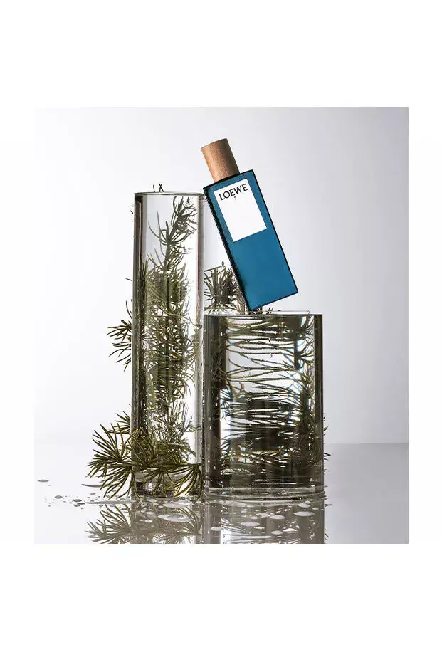 LOEWE Perfumes 7 8426017066846 Photo 4