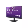 Монитор TERRA 3030220 Photo 2