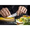 Virtuves nazis ZWILLING 30570-101-0 Photo 4