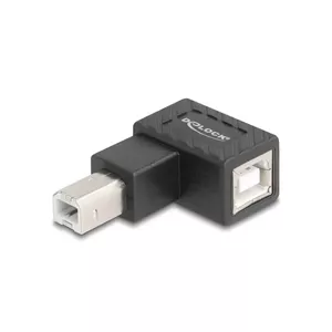 DeLOCK 67207 cable gender changer USB Type-B Black