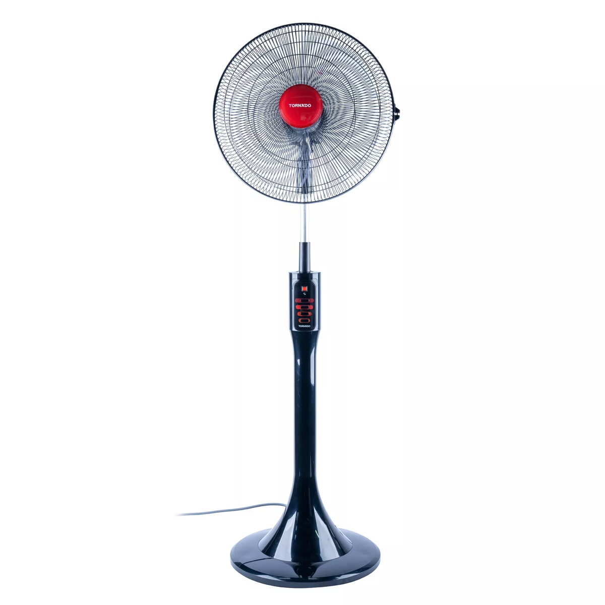 Fans