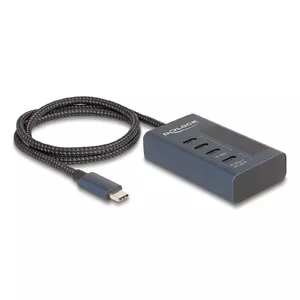 DeLOCK 64189 USB Hub Type-C 10000 Mbit/s Синий Металл