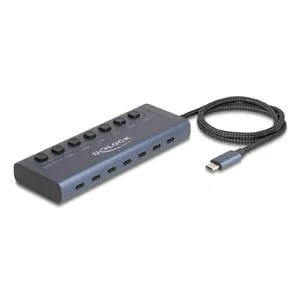 DeLOCK 63410 USB 3.2 Gen 1 Type-C centrmezgls 5000 Mbit/s Zils