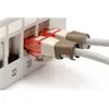 Цветовая кодировка клип Digitus Color clips for Patch cable Photo 2