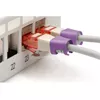 Цветовой кодирующий клип Digitus Color clips for Patch cable Photo 3