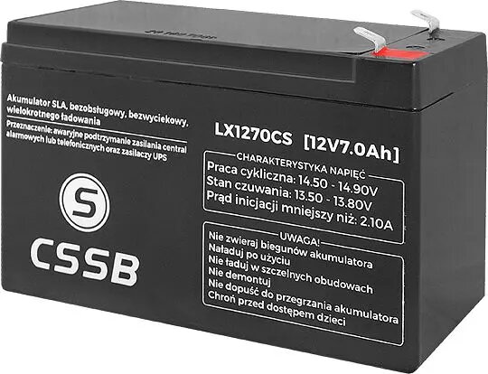 UPS Batteries