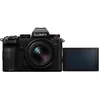 Panasonic Lumix DC-S5D mirrorless camera 24.2MP Photo 4