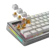 GLORIOUS Gaming Panda HE GAKC-595 slēdži — 36 gab. Photo 6
