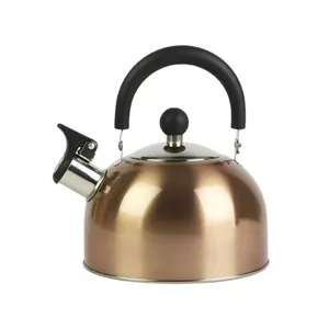 Teapot Prymus-AGD PL4502686 2 L enamel green rust finish