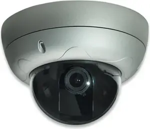 INTELLINET IP dome network camera 550406
