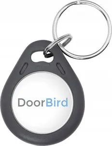 Брелок door bird 125 kHz 64bit записываемый — RFID 125 кГц, 64‑битный ключ доступа